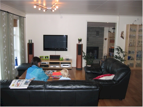 monica and frode living room